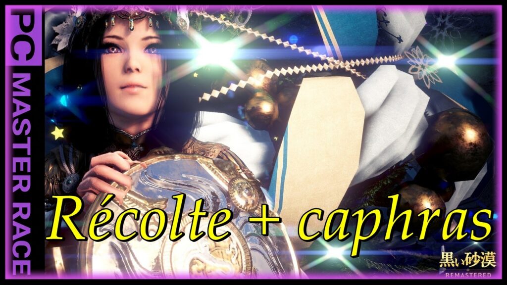 Black Desert Online : Combat actif, récolte et immersion totale