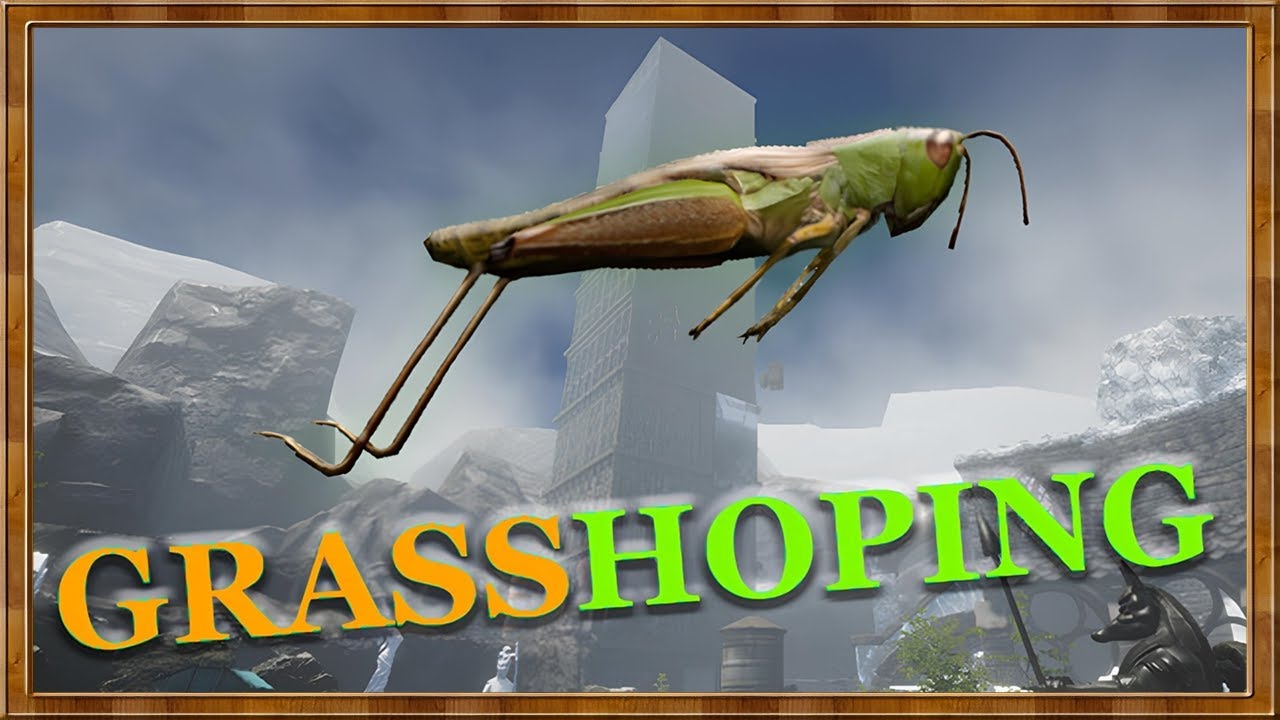 Grasshoping – Test et Découverte | GameOverCodex