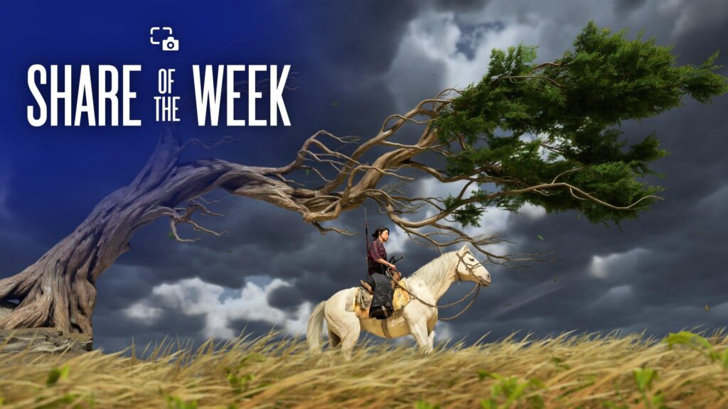 Share of the Week: Trees - GameOverCodex