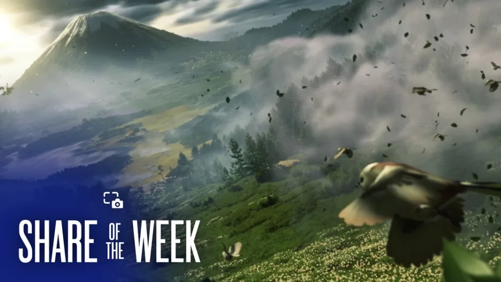 Share of the Week : Les saisons en jeu